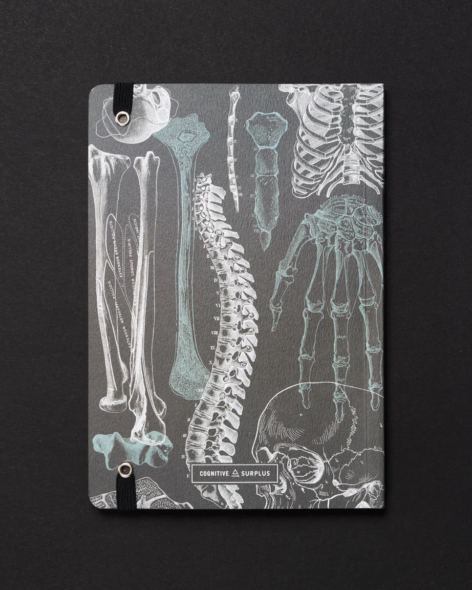 Skeleton Dark Matter Analysis Notebook