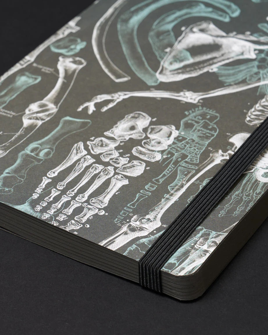 Skeleton Dark Matter Analysis Notebook
