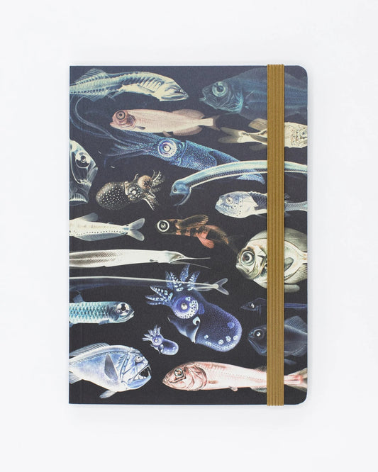 Deep Sea Explorer Notebook