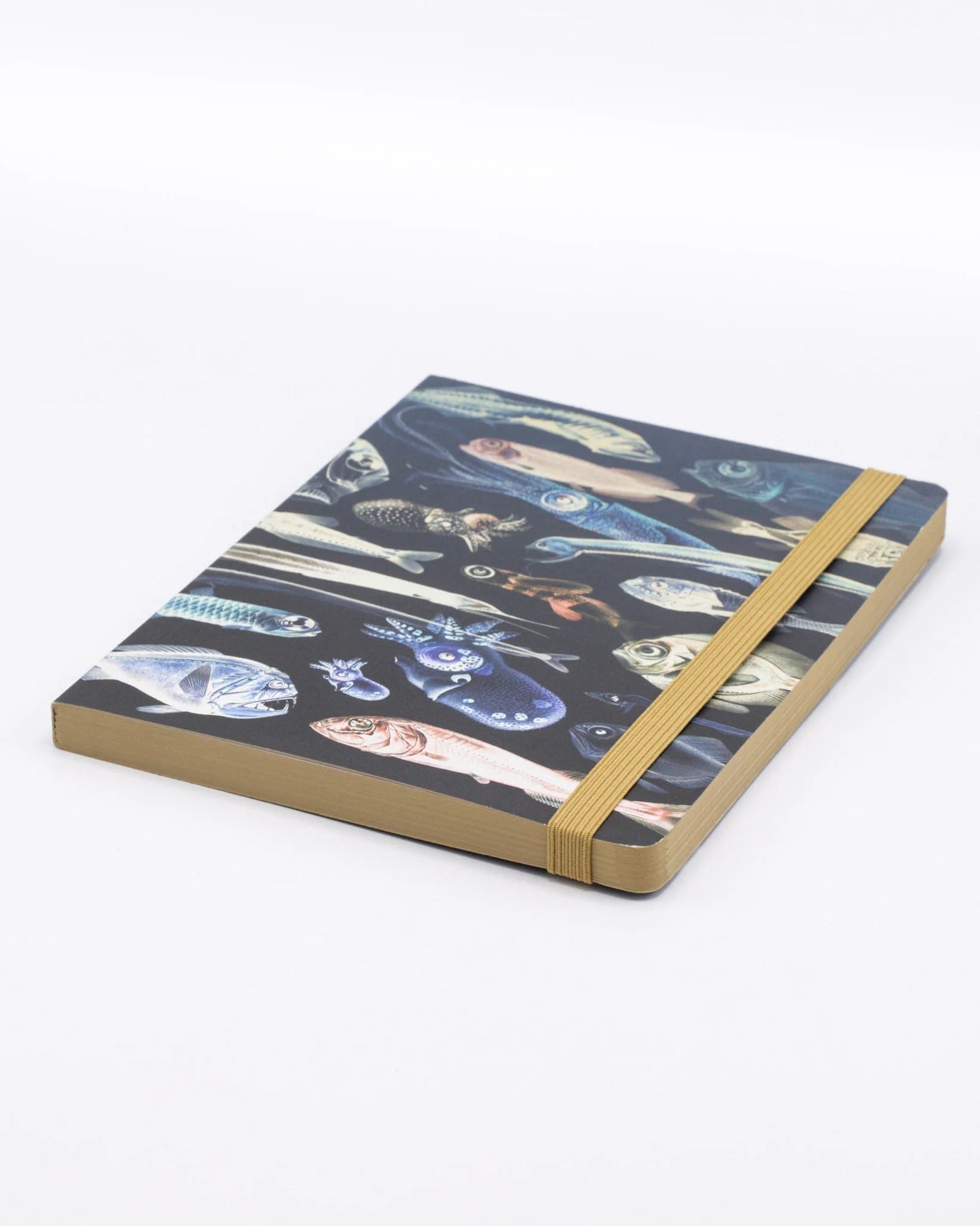Deep Sea Explorer Notebook