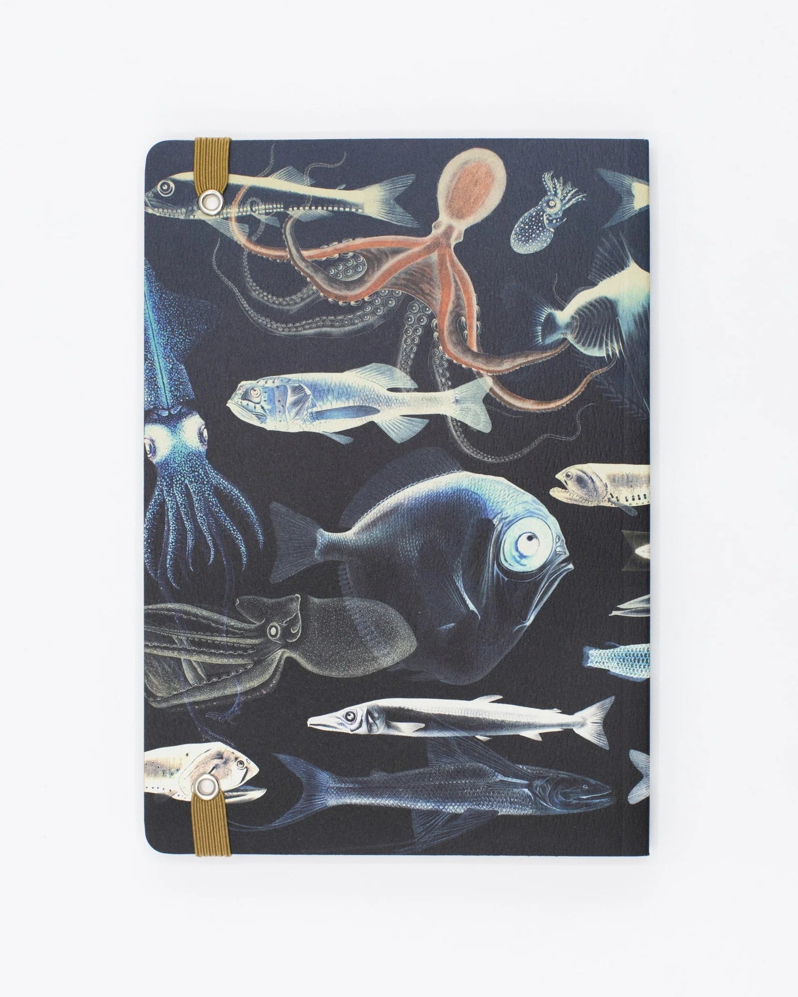 Deep Sea Explorer Notebook