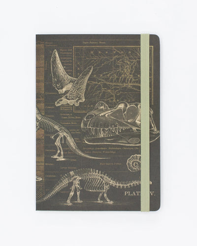 Dinosaur Bones Explorer Notebook