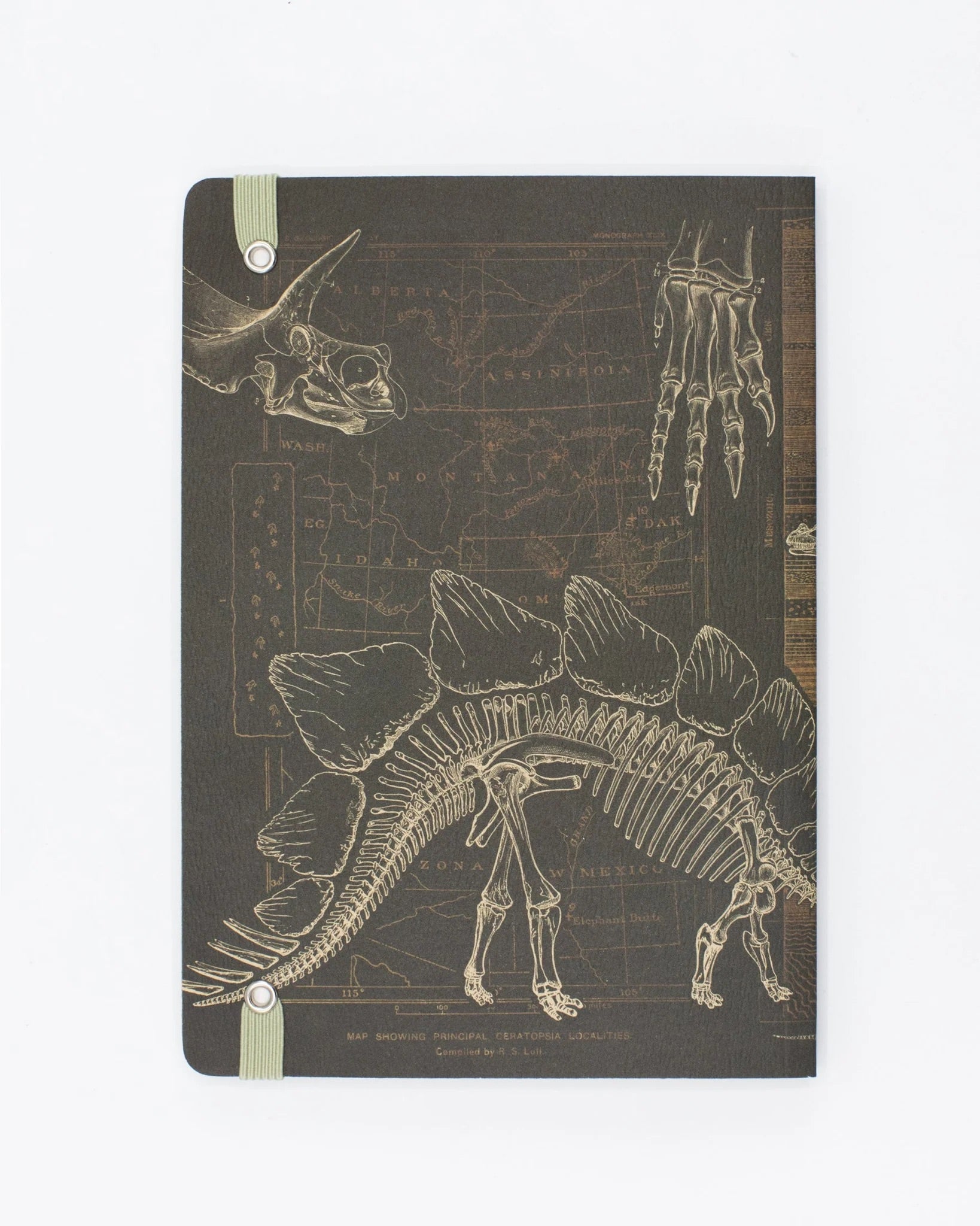 Dinosaur Bones Explorer Notebook