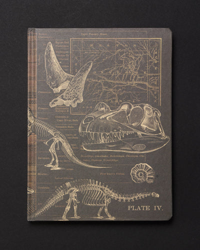 Dinosaur Dark Matter Journal