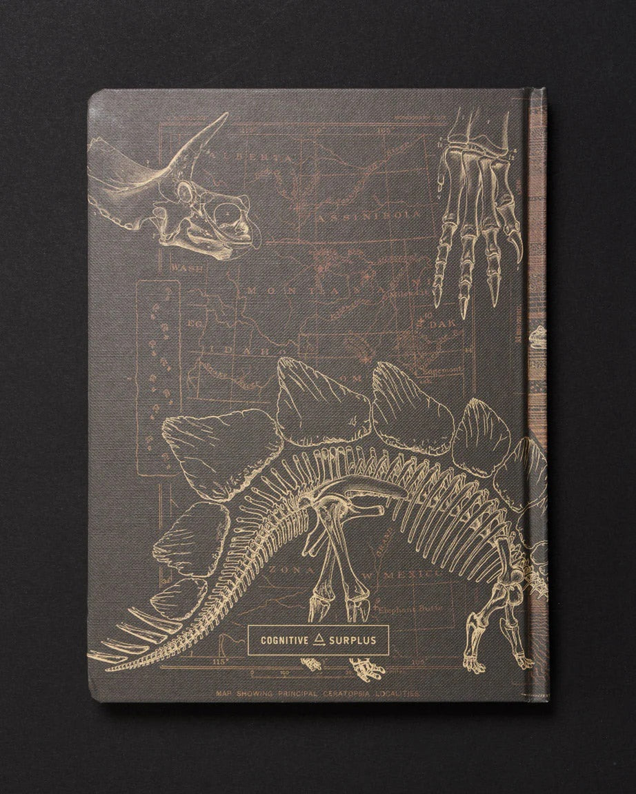 Dinosaur Dark Matter Journal