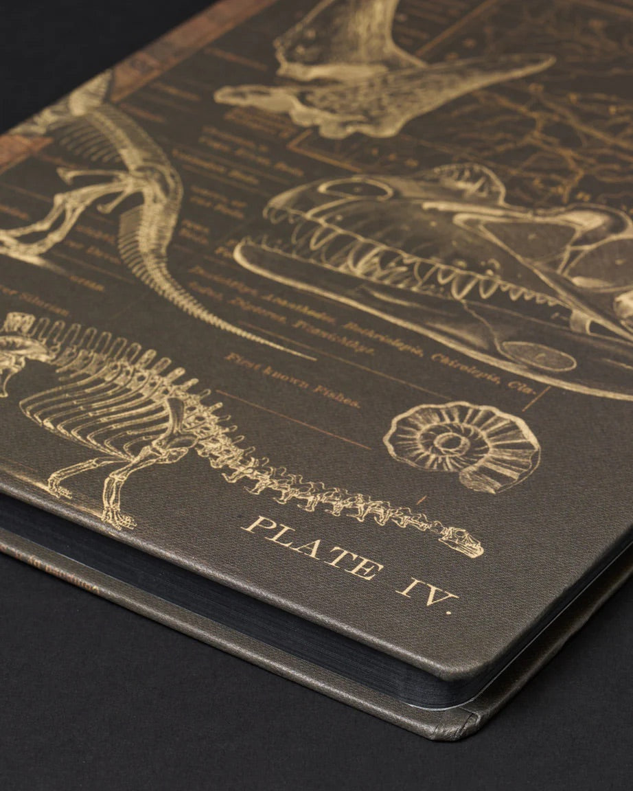 Dinosaur Dark Matter Journal