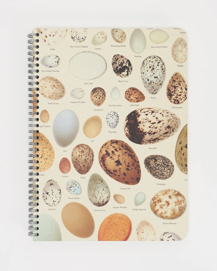 Eggs - Helix Spiral Journal Medium