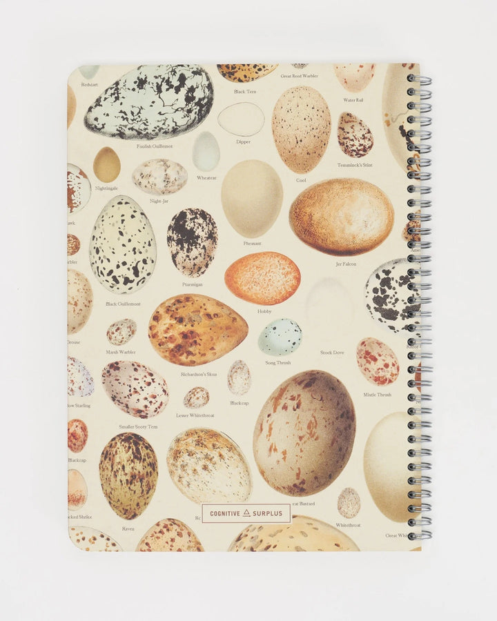 Eggs - Helix Spiral Journal Medium