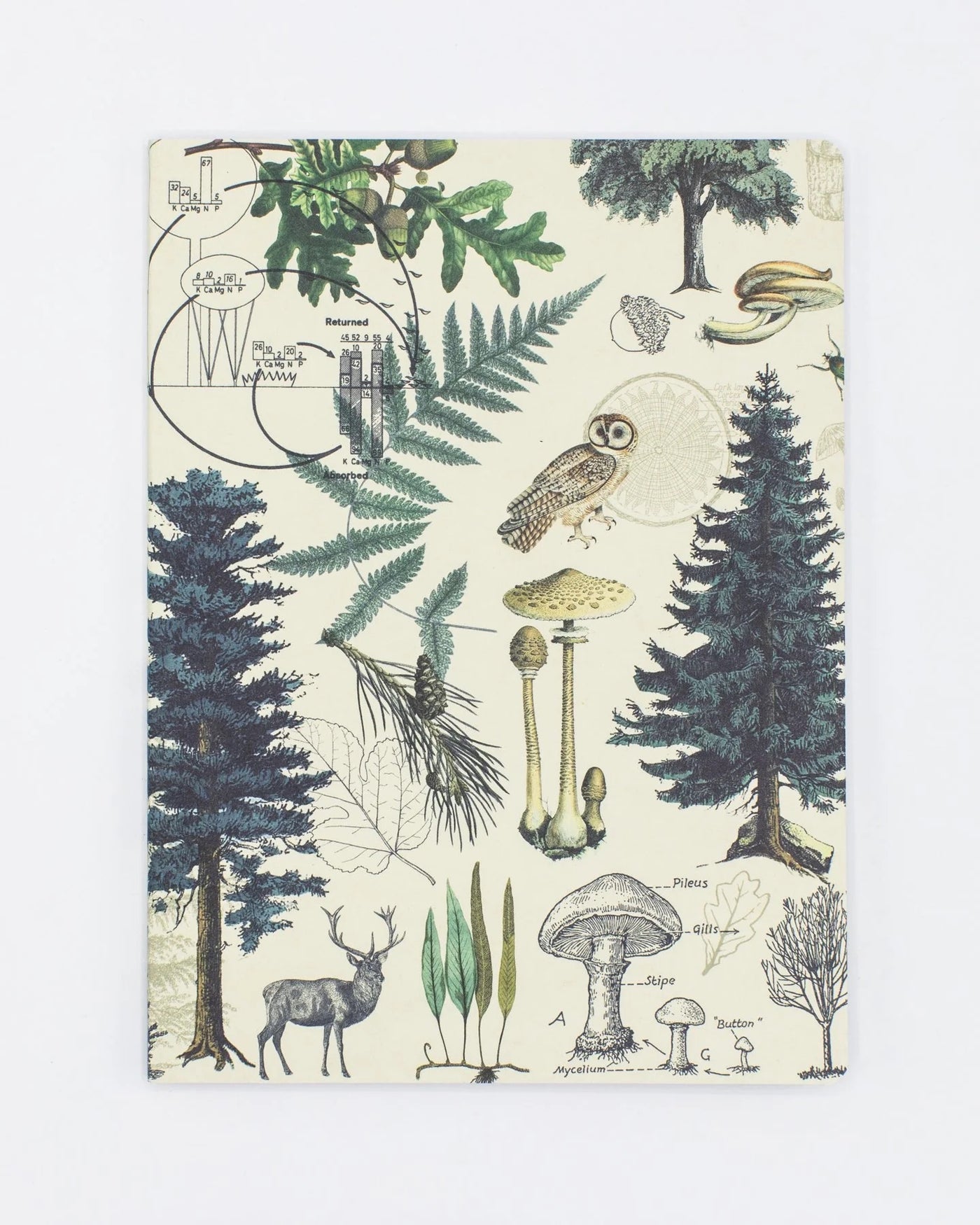 Forest & Trees Notebook