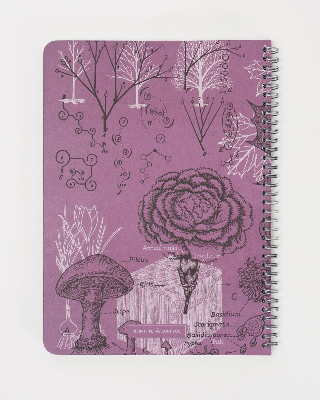 Forest At Dusk - Helix Spiral Journal Medium