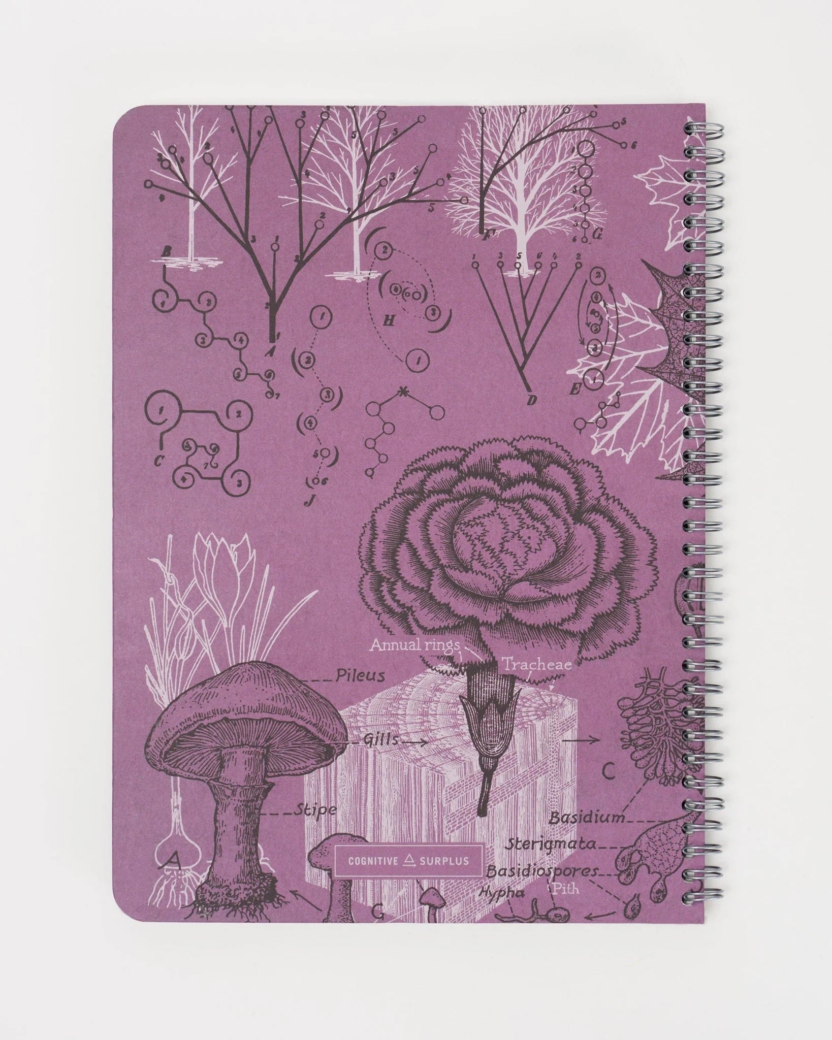 Forest At Dusk - Helix Spiral Journal Medium