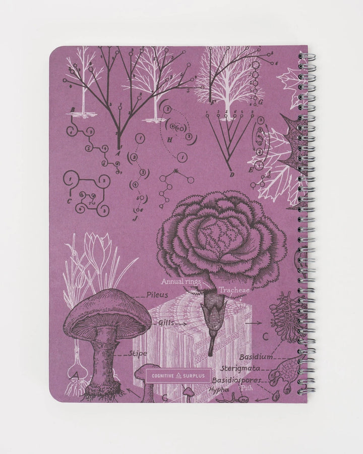 Forest At Dusk - Helix Spiral Journal Medium