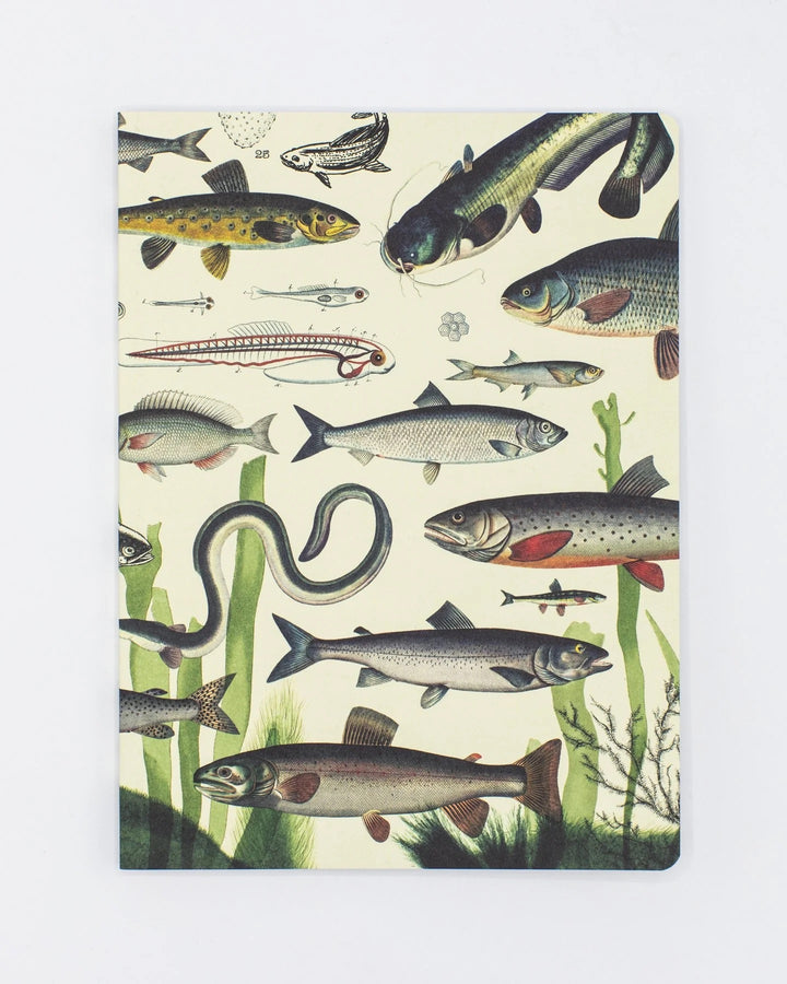 Freshwater Fish Notebook