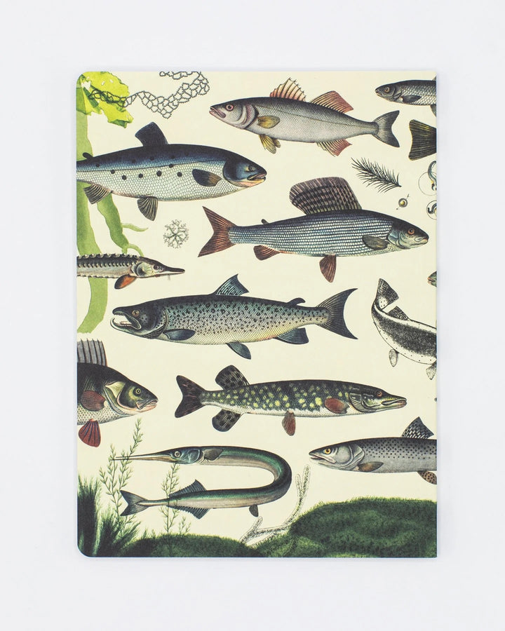 Freshwater Fish Notebook