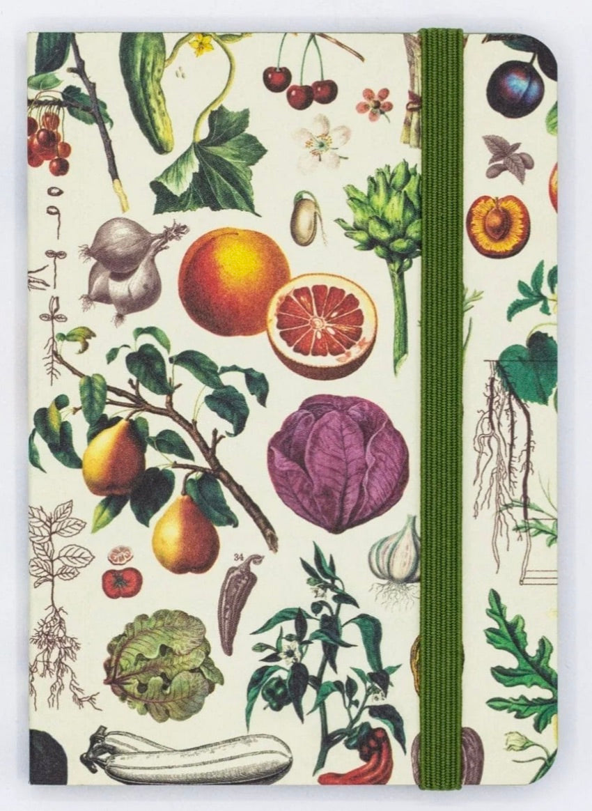 Fruit & Veggies - Mini Observation Notebook