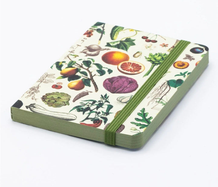 Fruit & Veggies - Mini Observation Notebook