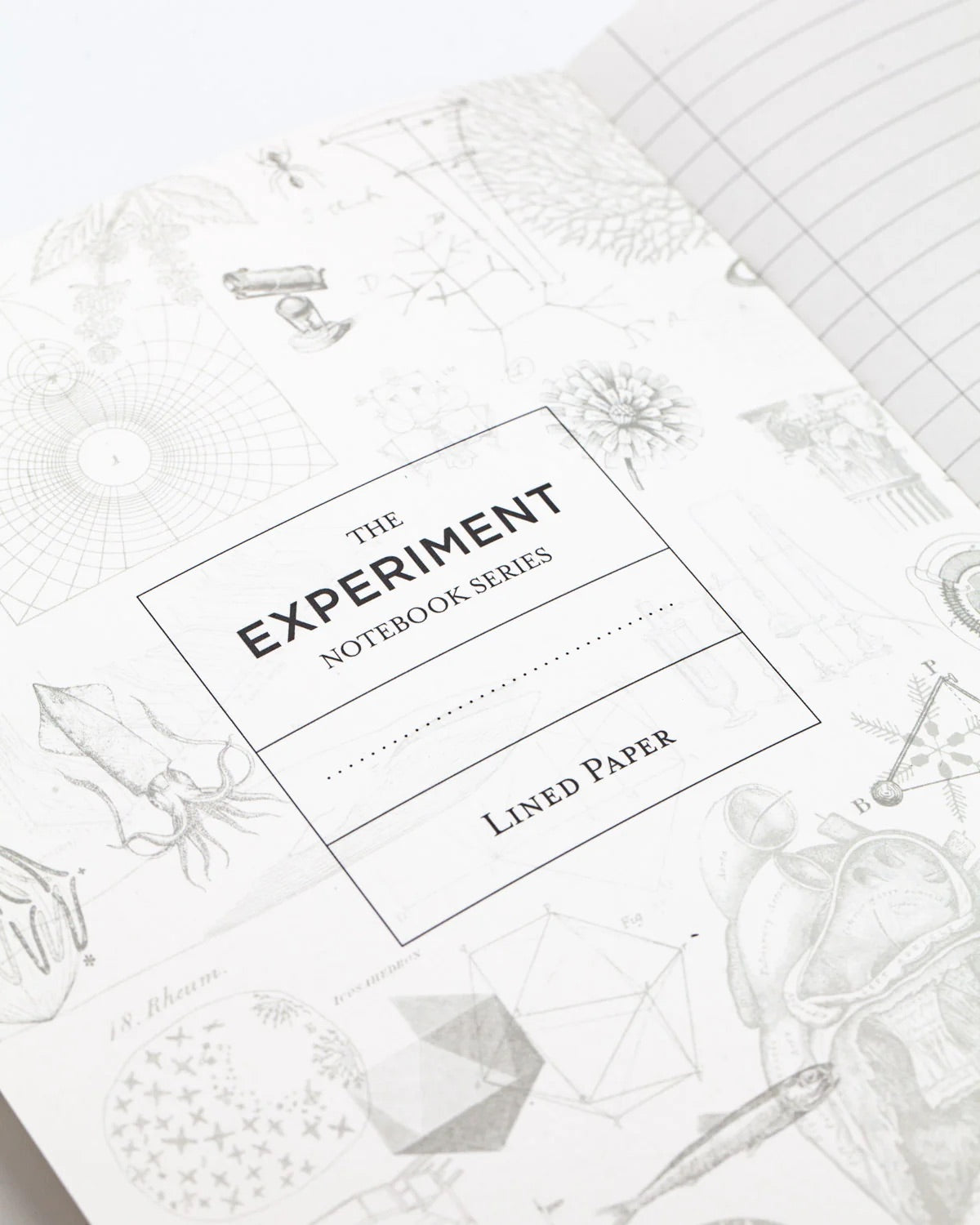 Layers of the Earth Notebook