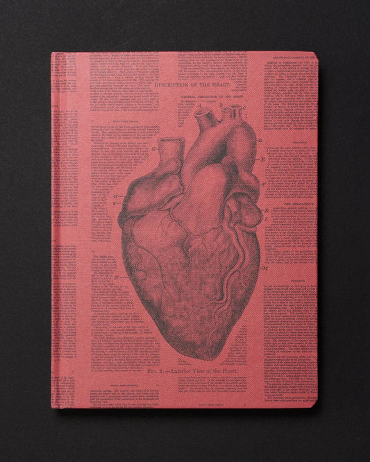 Anatomical Heart Dark Matter Journal