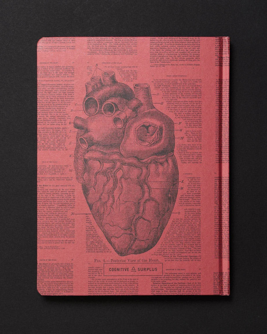 Anatomical Heart Dark Matter Journal