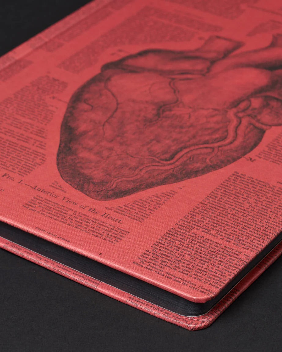 Anatomical Heart Dark Matter Journal