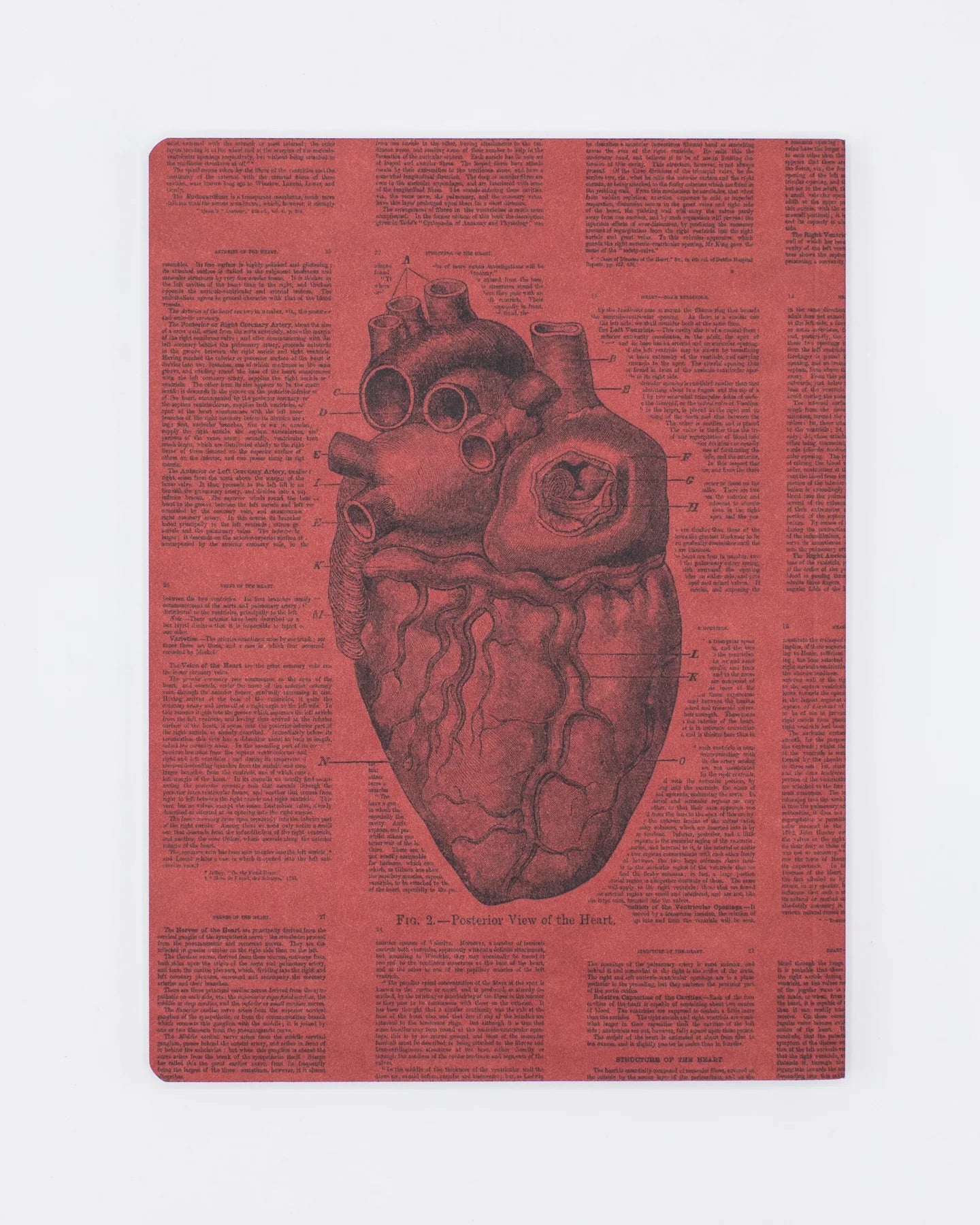 Anatomical Heart Notebook