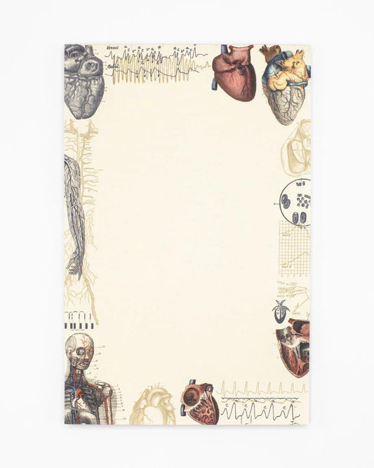 Anatomical Heart Notepad