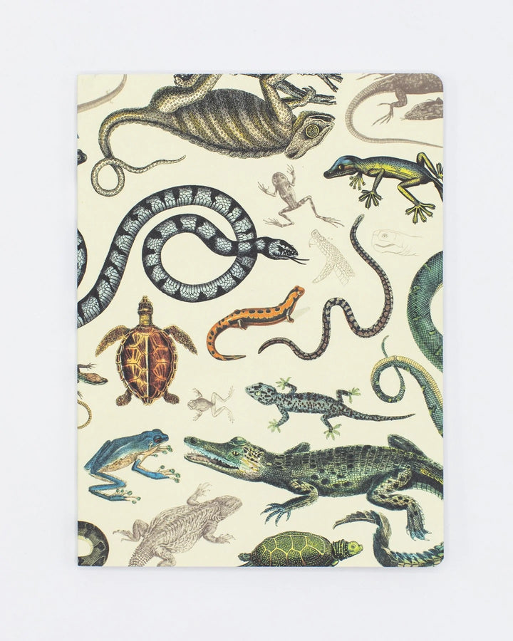 Slither and Creep Notebook