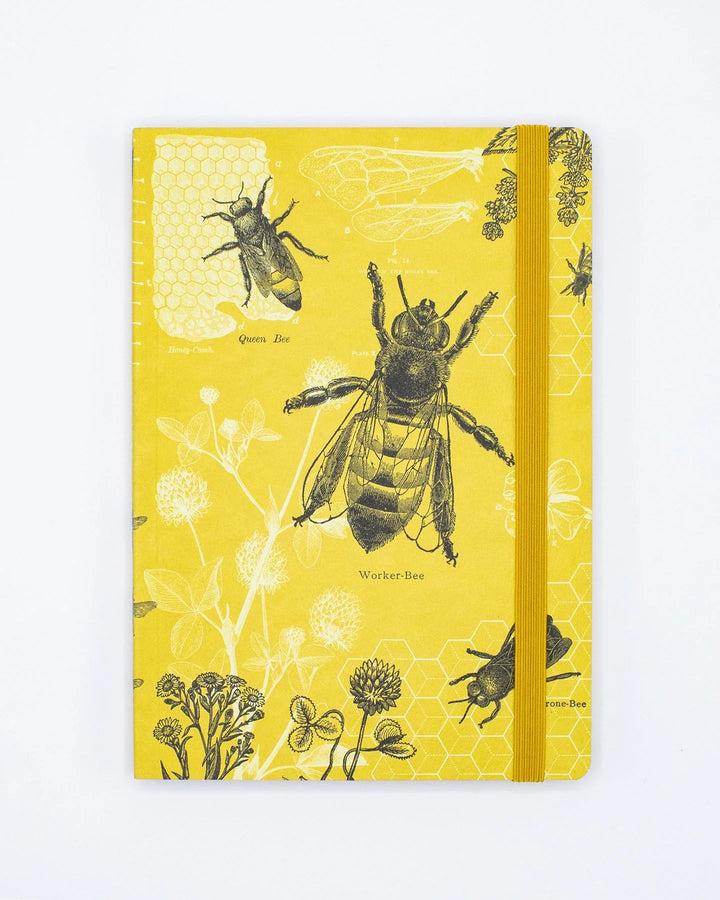 Honey Bee Explorer Notebook