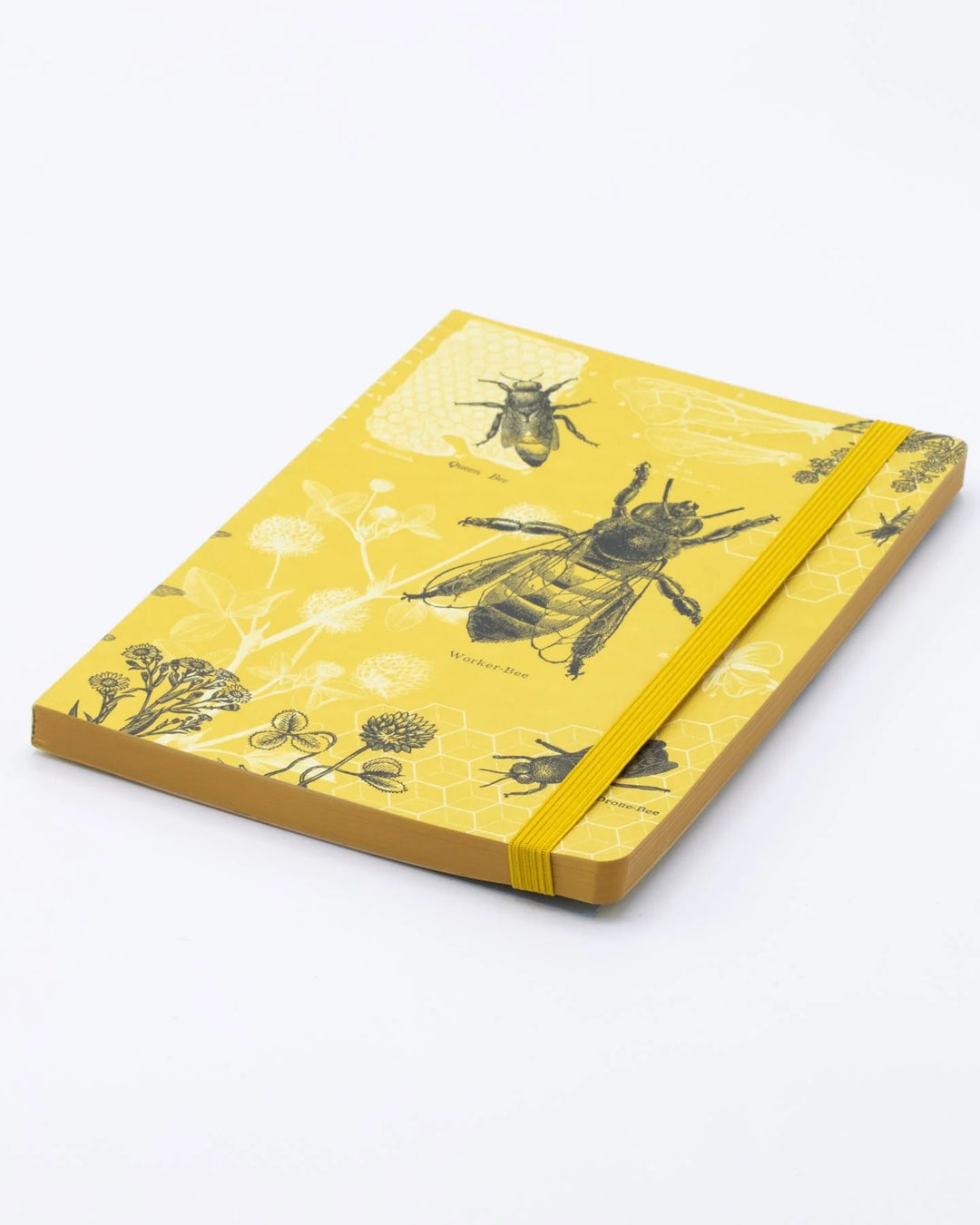 Honey Bee Explorer Notebook