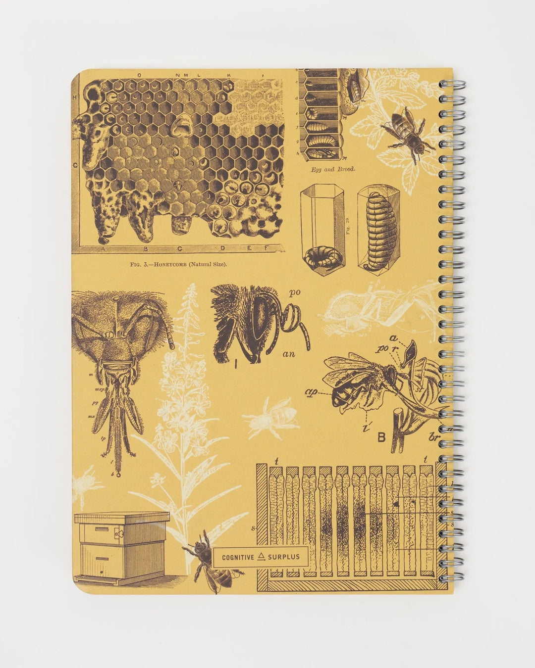 Honey Bee - Helix Spiral Journal Large