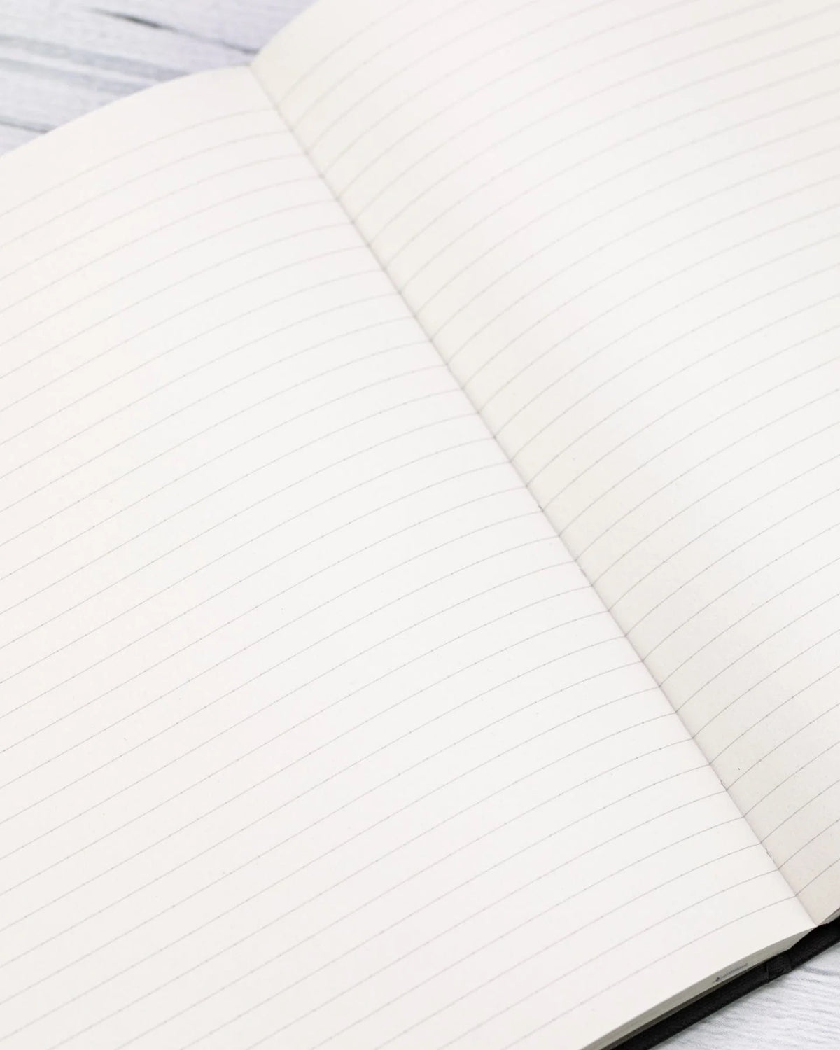 Insect & Beetle Silver Journal – Of Aspen Curated Gifts
