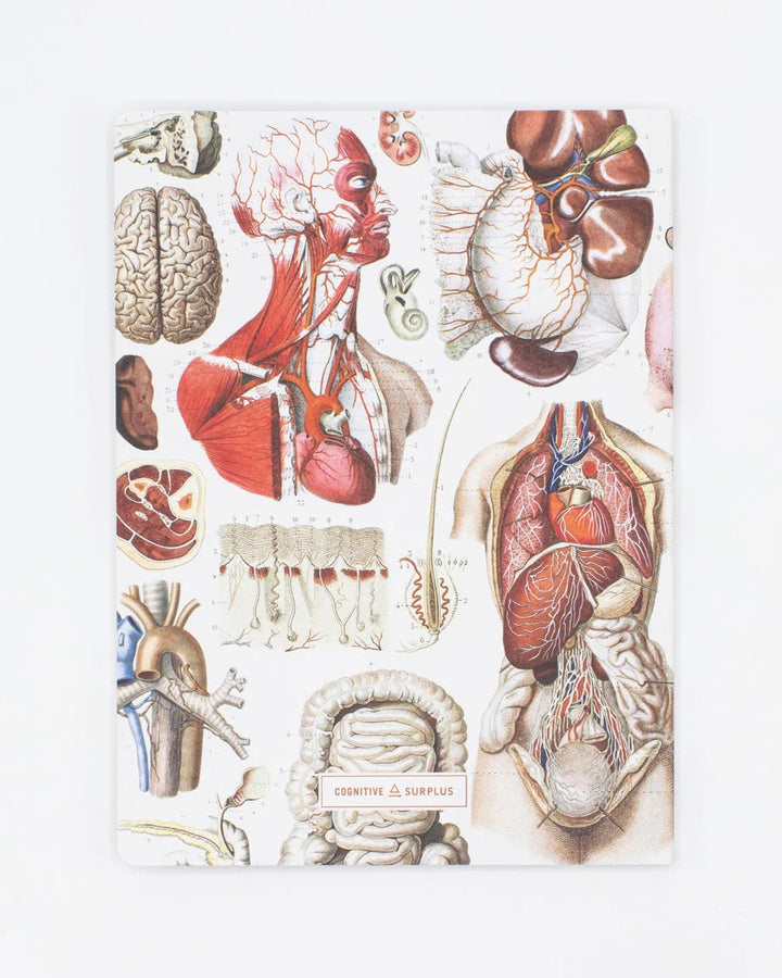 Internal Medicine Notebook