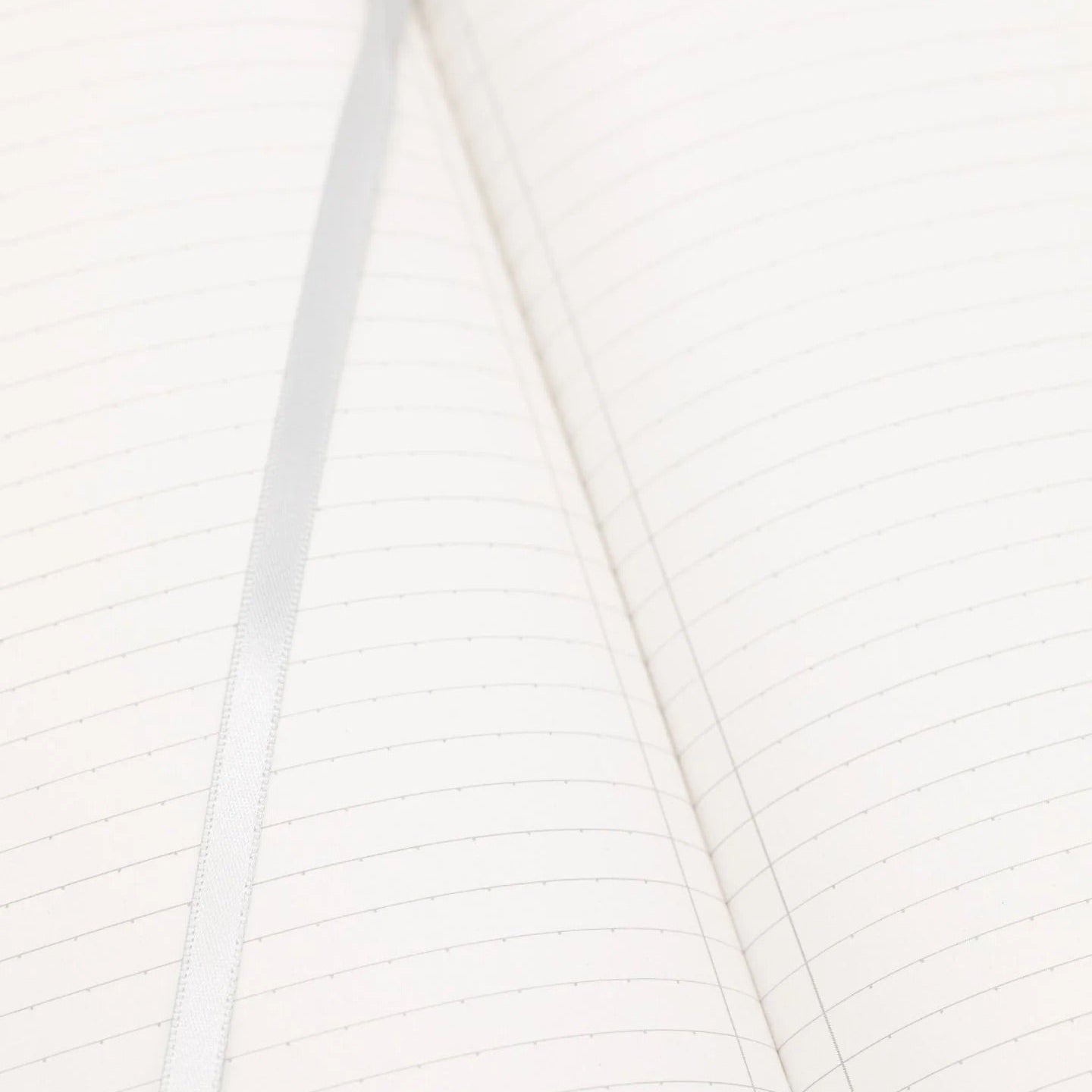 Jellyfish Silver Journal