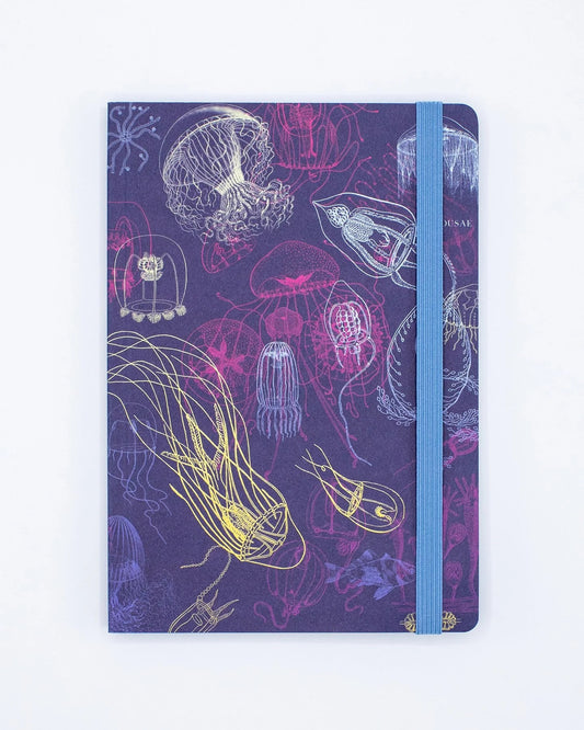 Jellyfish Explorer Notebook