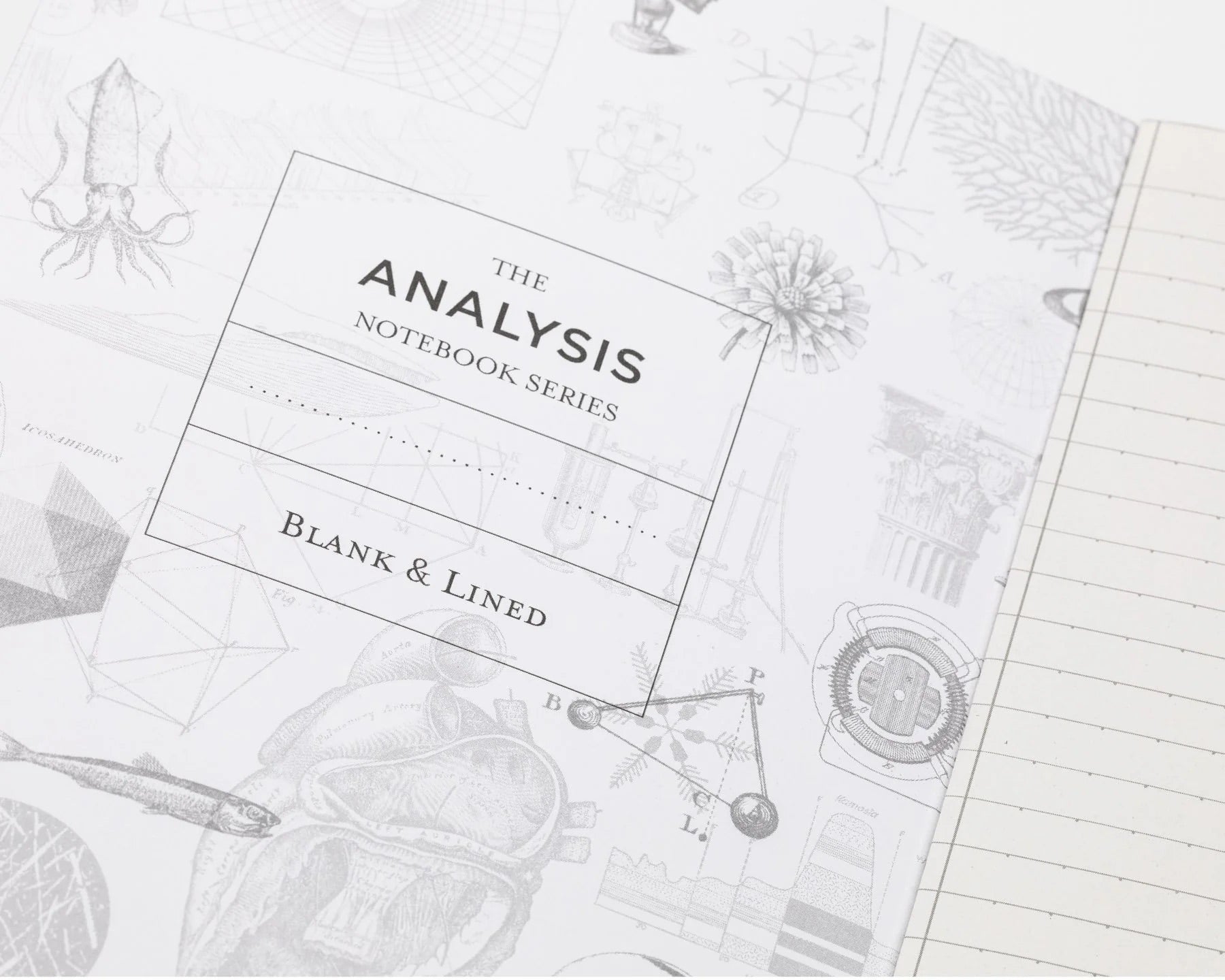 Geological Layers Explorer Notebook