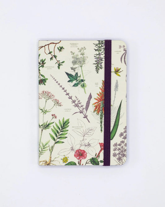 Medicinal Botany - Mini Observation Notebook