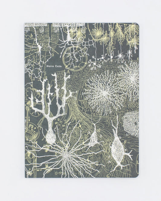 Neurons Notebook