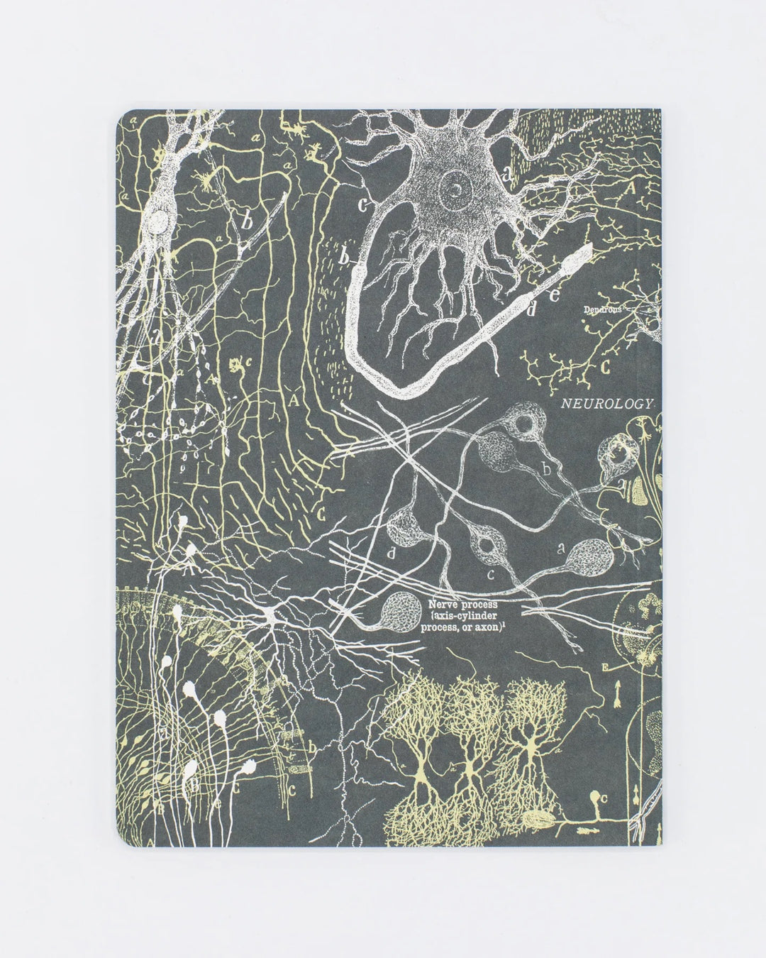 Neurons Notebook
