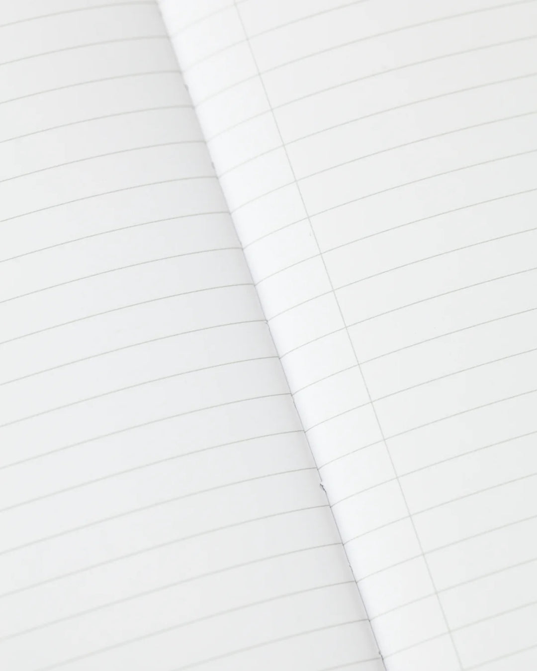 Neurons Notebook