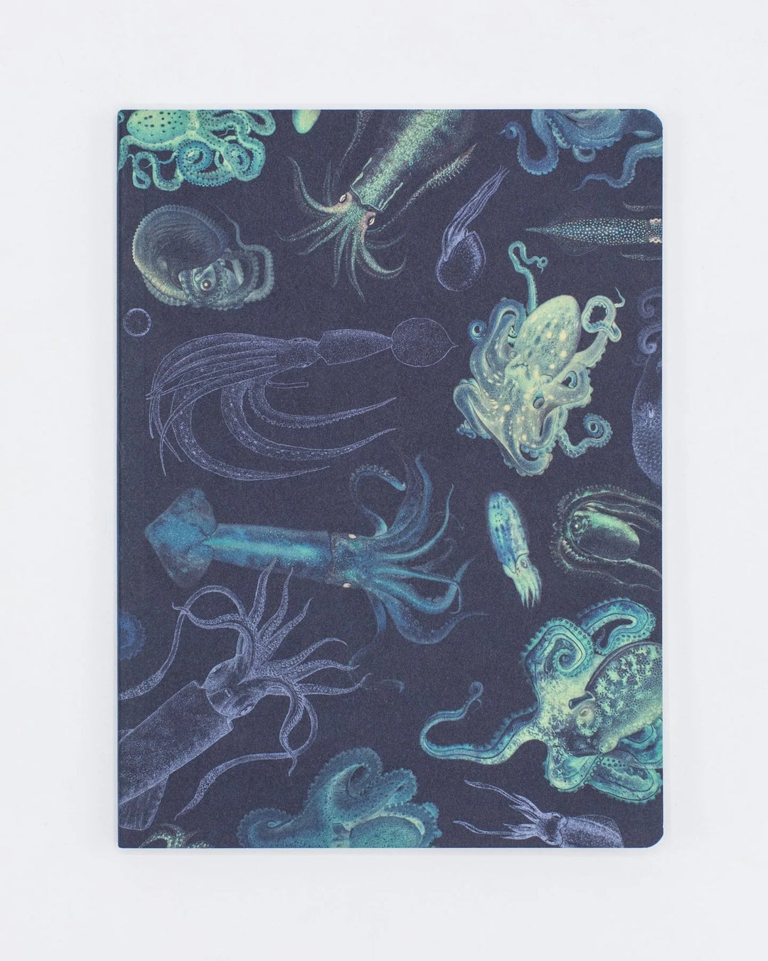 Octopus & Squid Notebook