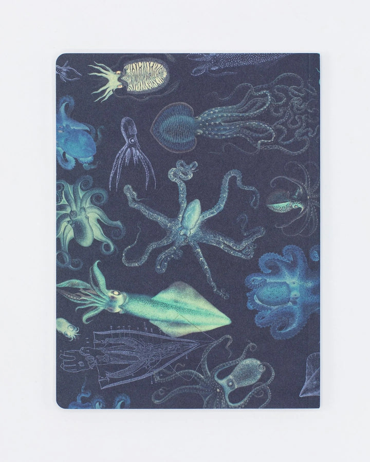 Octopus & Squid Notebook