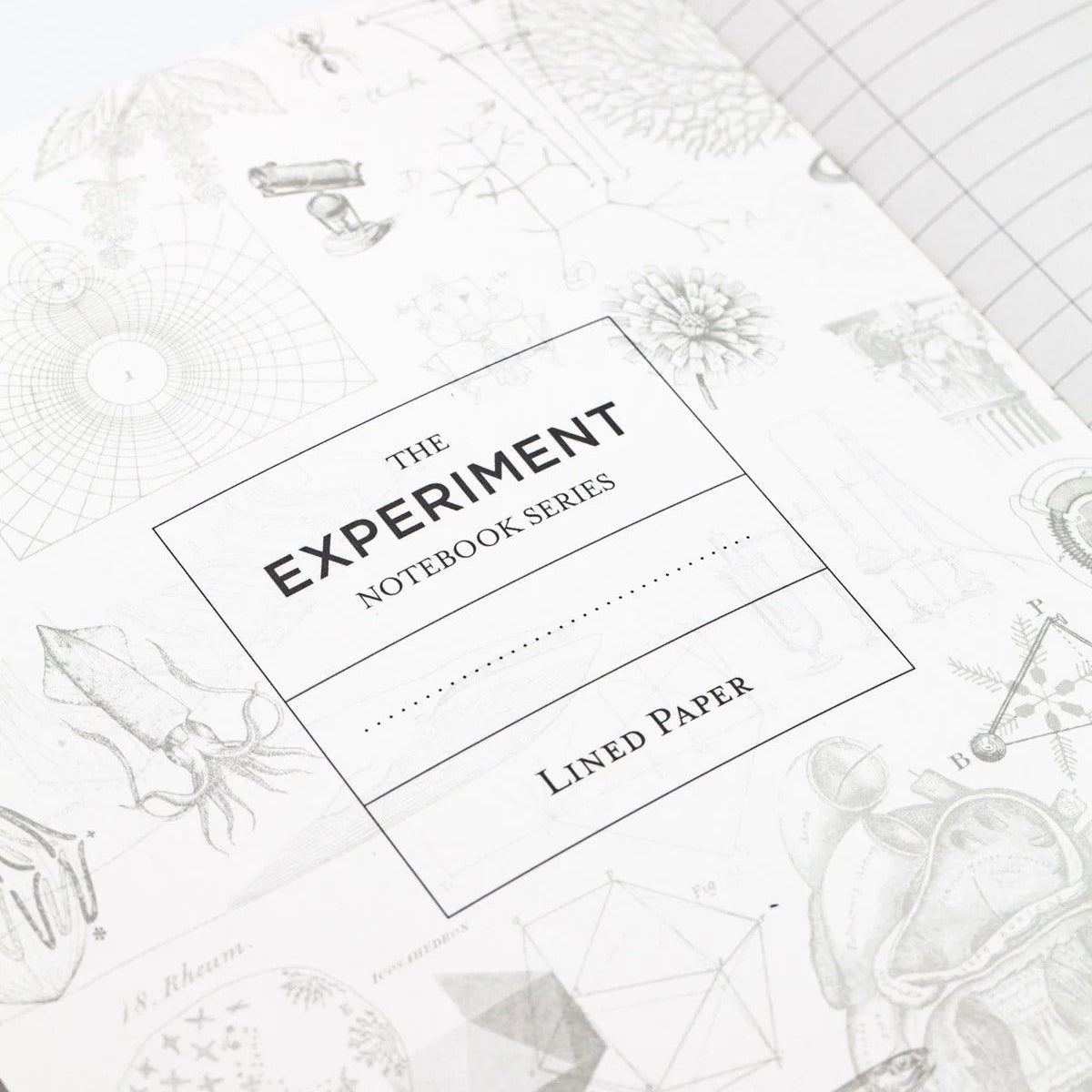 Cognitive Surplus Octopus & Squid Notebook