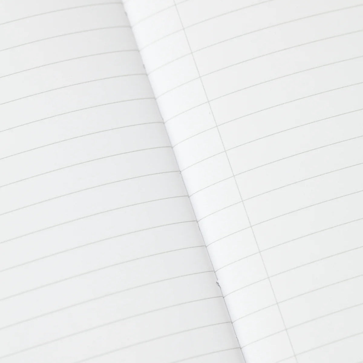 Cognitive Surplus Octopus & Squid Notebook