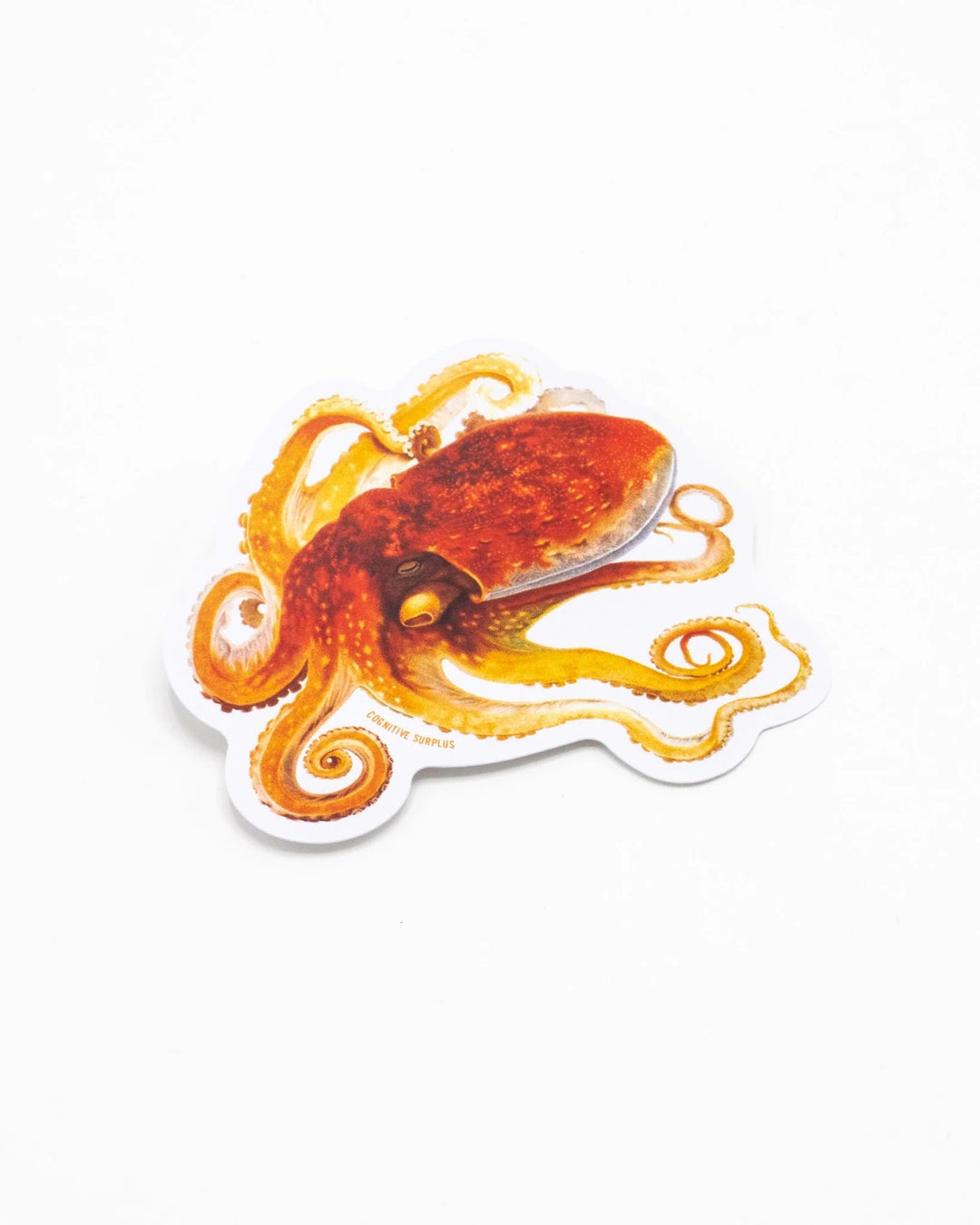 Orange Octopus Sticker