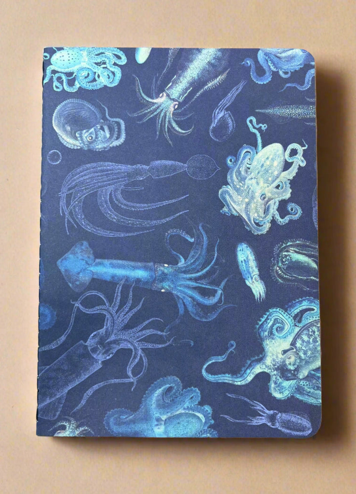 Octopus and Squid Mini Research Notebook