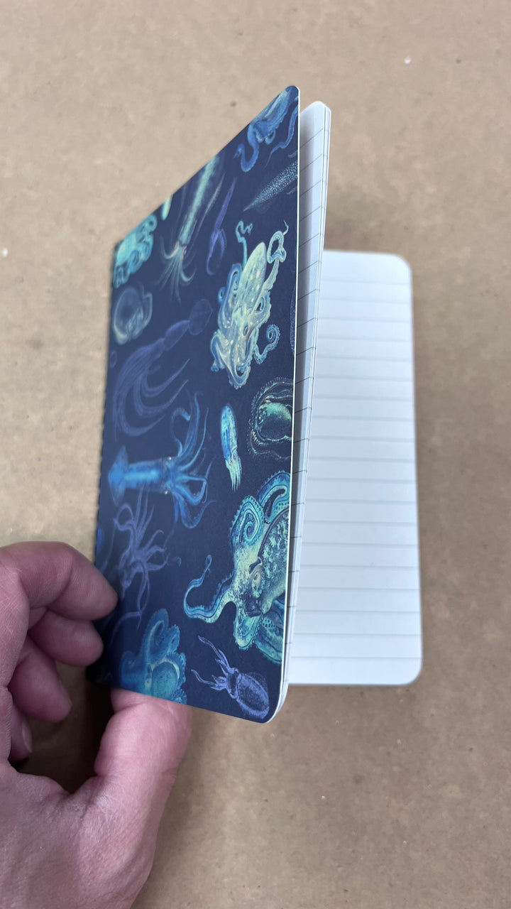 Octopus and Squid Mini Research Notebook