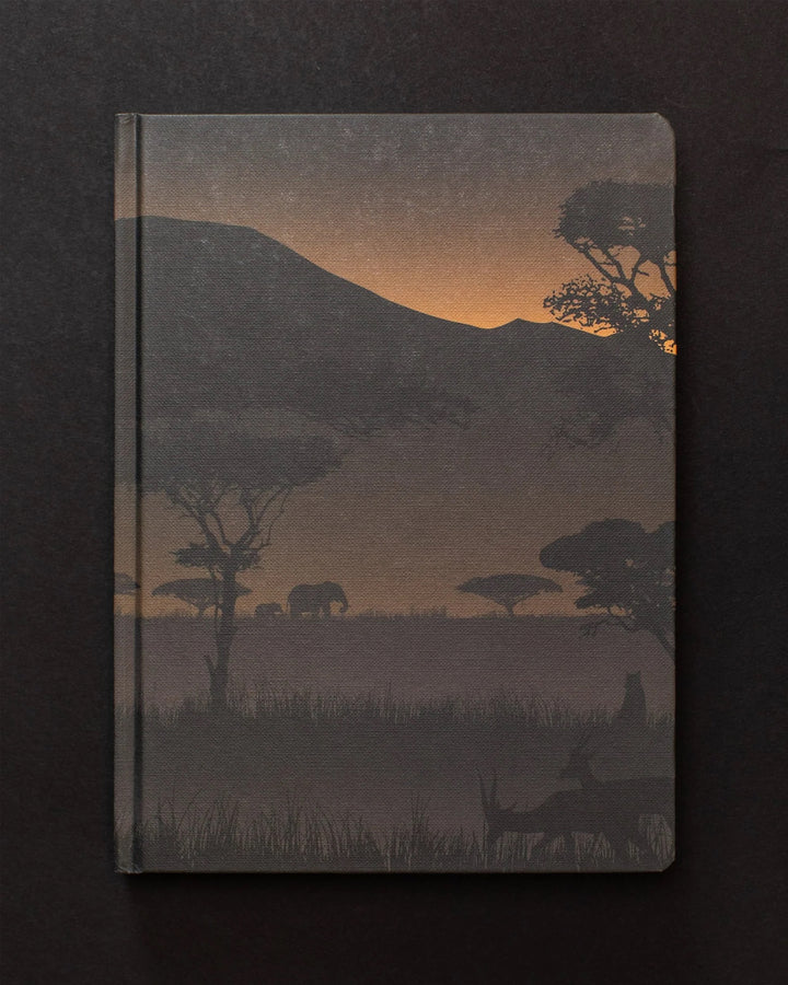 Savanna at Dusk Dark Matter Journal