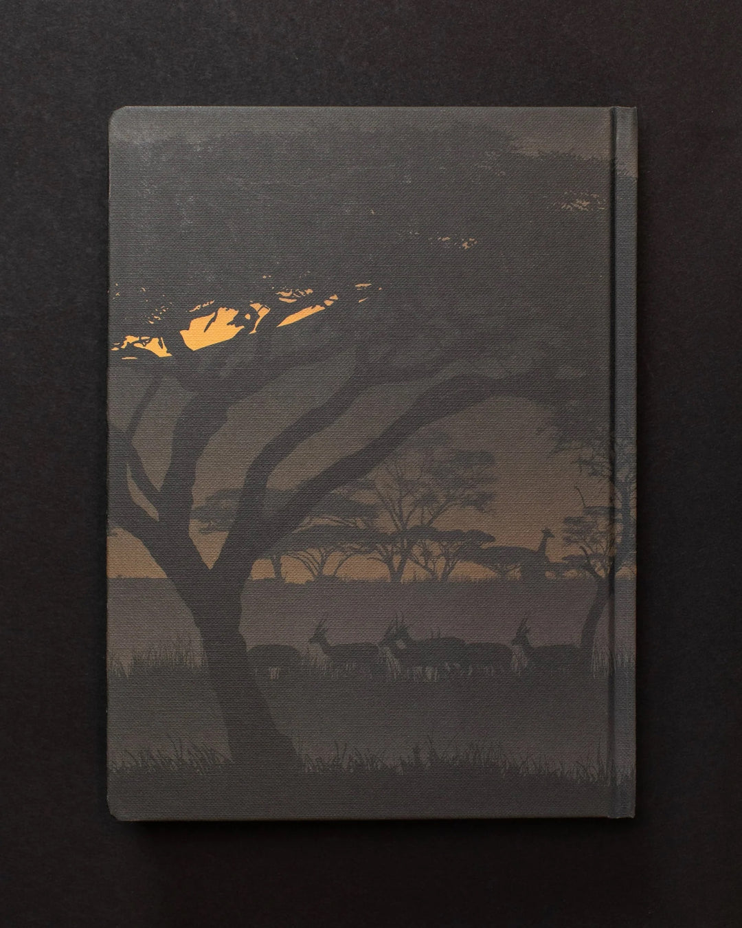 Savanna at Dusk Dark Matter Journal