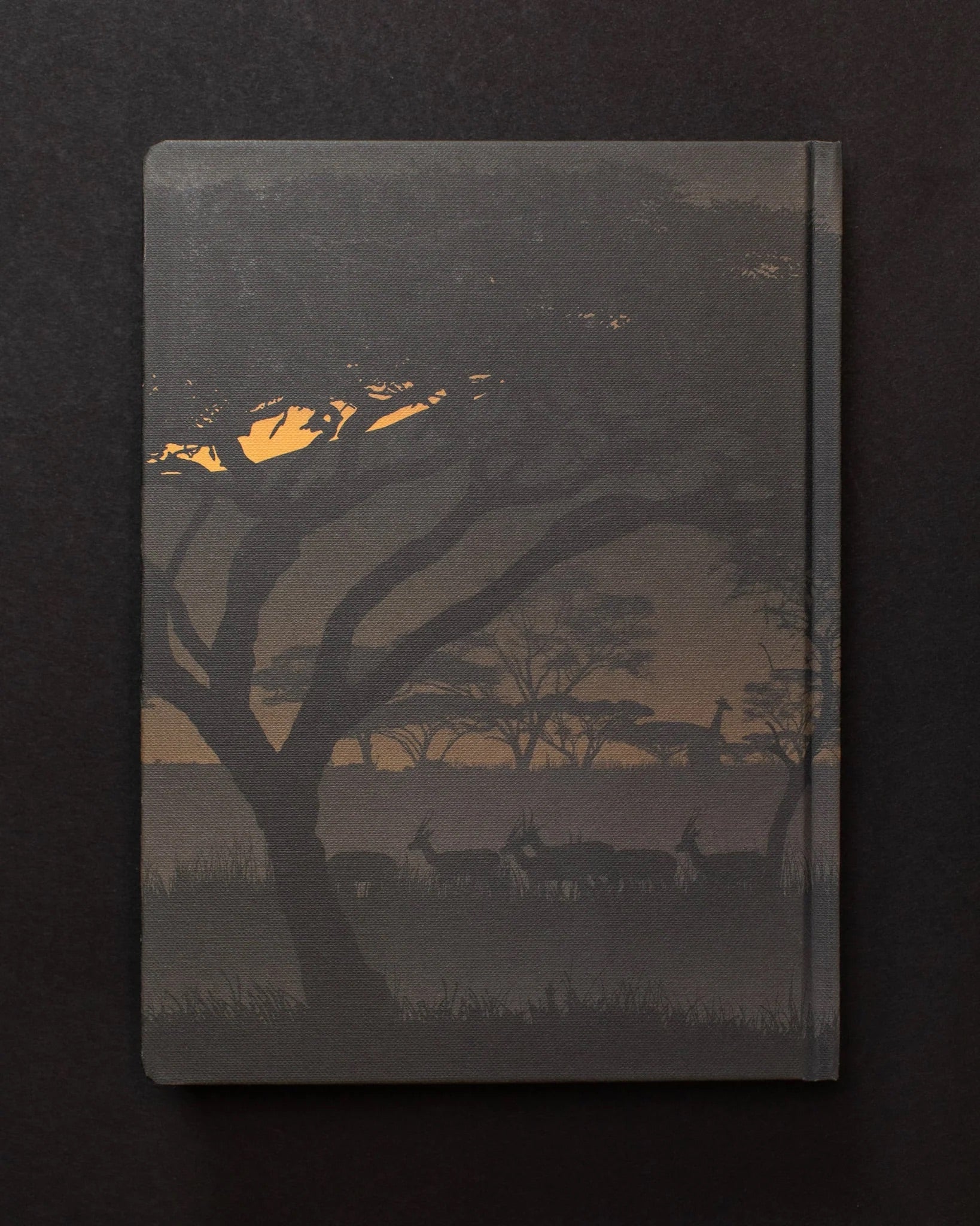 Savanna at Dusk Dark Matter Journal