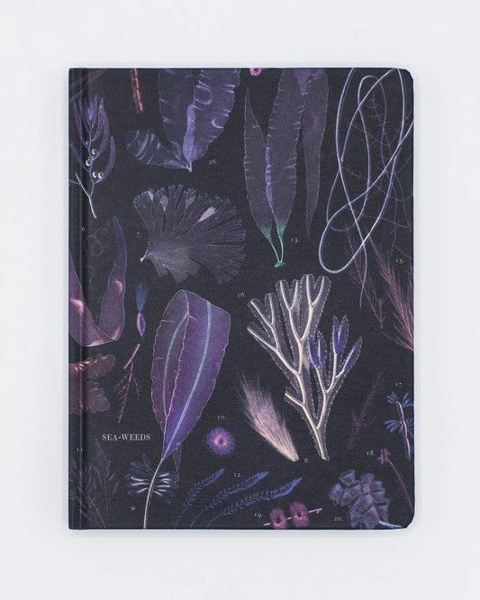 Seaweed Journal